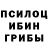 Галлюциногенные грибы Psilocybine cubensis Ian Darby