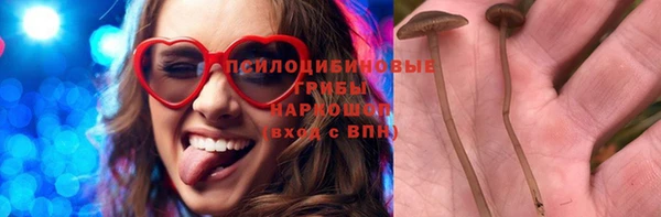 крисы Абаза